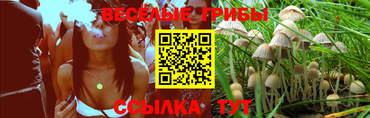 Галлюциногенные грибы ЛСД Коряжма